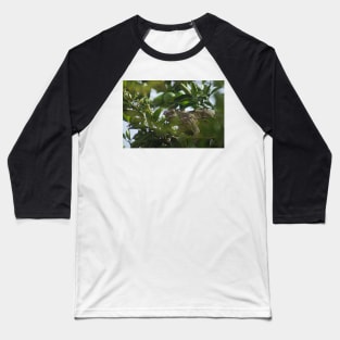 cll iguana Baseball T-Shirt